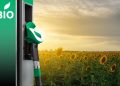 Discover the Hottest US Biofuel Stocks of 2023!