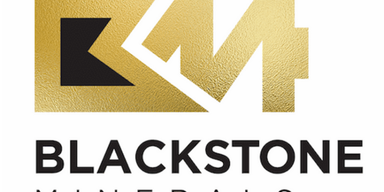 “Blackstone to Grab Rich Nickel Asset: Secure the Option Now!