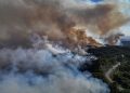 Wildfires sweep through forests in drought-hit Syrian coast in major test for new government